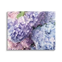 Pastel Hydrangea Flower Petals Botanical & Floral Photograph Gallery Wrapped Canvas Print Wall Art