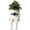 #6Mummy, variant on Clearance! Halloween Hanging Legs Planter Planter, Whimsical Character Succulent Pot Small Succulent Flower Pot, Decor Gift For Plant Lovers, Ghost