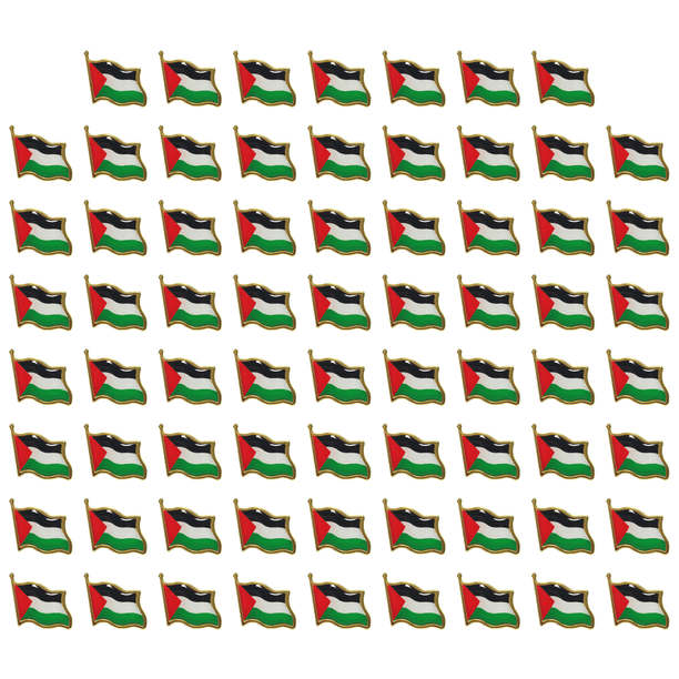 Pin Palestina Insignia Recuerdo Delicado Broche Con Forma Regalo
