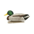 thumbnail image 4 of AVIAN-X Topflight Fusion Mallards Durable Ultra Realistic Floating Hunting Duck Decoys, Pack of 6, AVX8076, 4 of 16