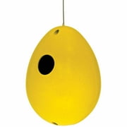 Rosso's International P57-11 Buttercup E