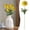 Yellow, variant on Artificial Allium Bulbs Snowball Stems 10.6" Realistic Fake Dandelion Flowers for Wedding Arrangement Table Centerpieces Home Office Fall Outdoor Decoration,1Pcs Yellow