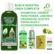 thumbnail image 5 of Shampoo Vivo Natural VIVONATURAL con Aceite de Romero 500 ml, 5 of 5