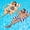 Dark Blue+Orange, variant on SIMDOO 2 Pack Inflatable Pool Floats 4-in-1 Pool Hammock with Bottom Mesh 3 Tubes Inflatable Hammock for Adults,Portable Floating Chair Bed for Travel, Swimming Pool Hot Tub