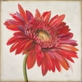 thumbnail image 2 of Pinto, Patricia 15x15 Gold Ornate Wood Framed with Double Matting Museum Art Print Titled - Red Gerber Daisy, 2 of 4