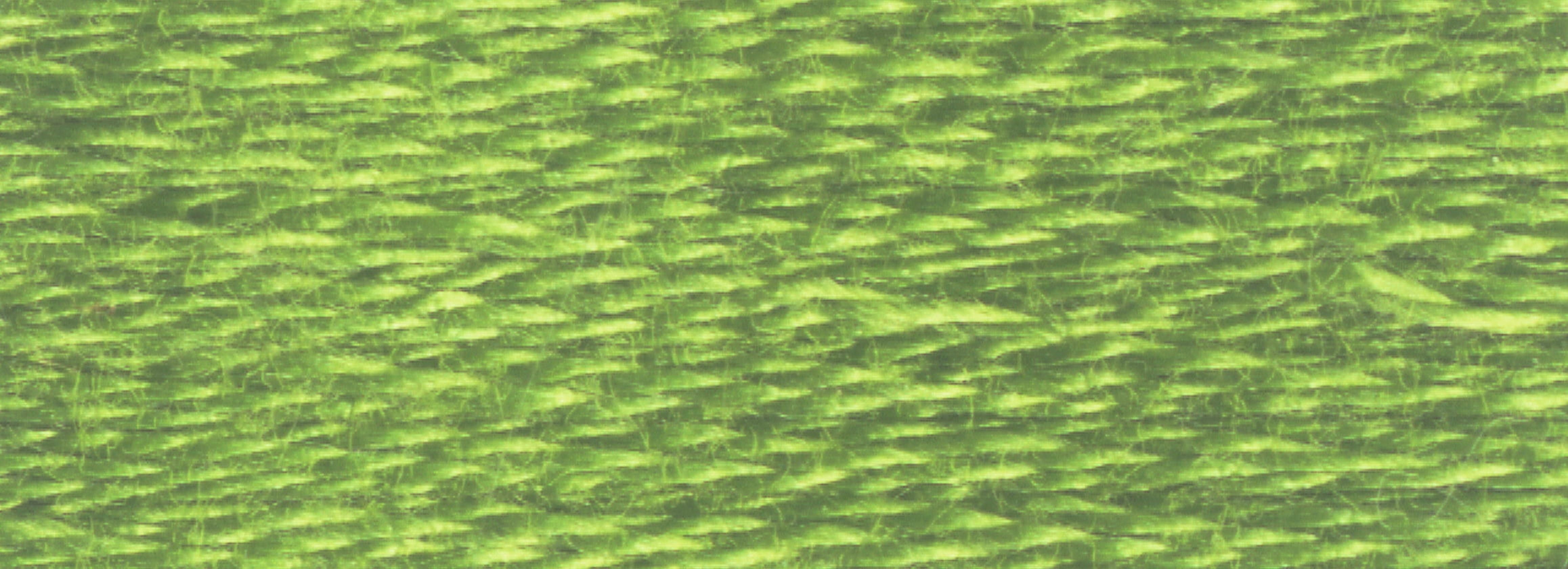 (2 pack) DMC Mouline 117-470 Six-Strand Embroidery Thread, Light Avocado Green, 8.7-Yards