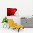 thumbnail image 2 of Abstract red parrot - 24"x36" canvas - Print on demand, 2 of 5