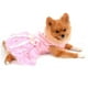 thumbnail image 5 of Vestido lindo para mascotas Vestido de verano para mascotas Vestido para mascotas Vestido rosa para perros MFZFUKR BST2001012-3, 5 of 6