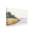thumbnail image 2 of Trademark Fine Art 'Solitary Coastline IV' Canvas Art by Dianne Miller, 2 of 4