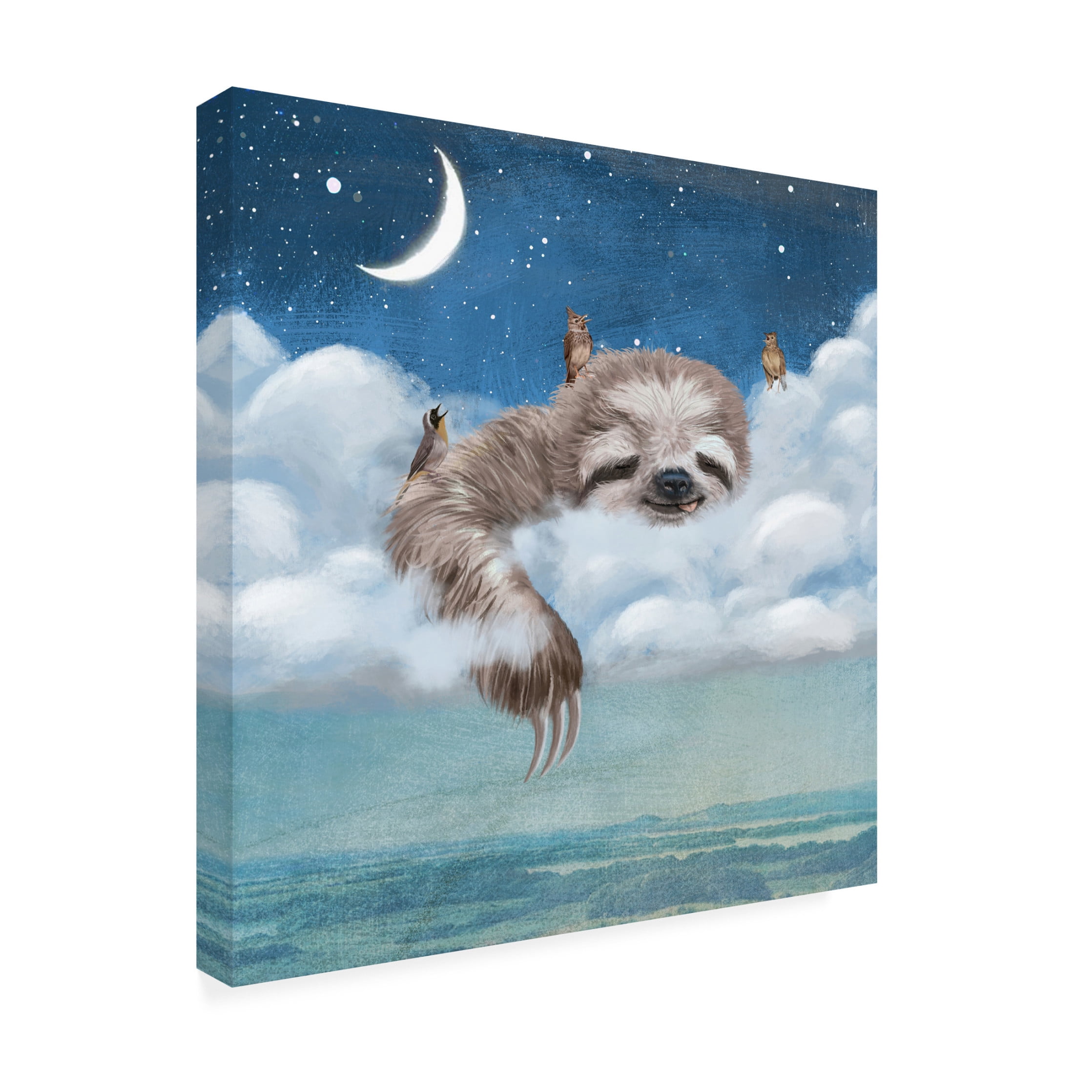 Canvas Wall Art - Paula Belle Flores 'A Sloths Dream' Wall Art for Living Room, Bedroom, or Office Décor by Trademark Fine Art - 24 x 24 Inches