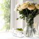 thumbnail image 3 of 48pcs Sign Holders Tabletop Display Stands L Shape Sign Display Stands Name Card Holders, 3 of 3