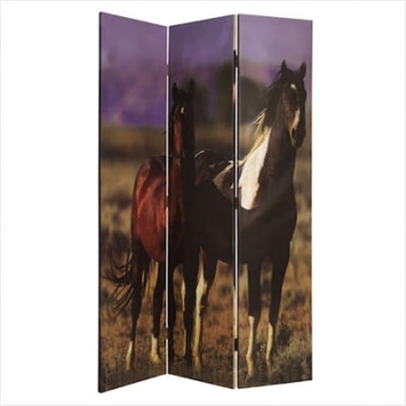 Screen Gems SG-21K Thouroghbred Screen