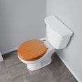thumbnail image 4 of Jones Stephens Siège de Toilette Rond en Chêne Brun Foncé C3B2R1-18CH avec Chrome, 4 of 4