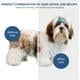 thumbnail image 2 of Secador de pelo para mascotas 2 en 1 - Secador de ropa silencioso portátil con cepillo alisador - Temperatura ajustable - Para perros y gatos pequeños y medianos, 2 of 3