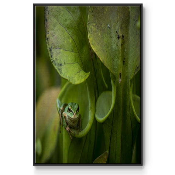 Arboreal Refuge Framed Premium Gallery Wrapped Canvas - Ready to Hang