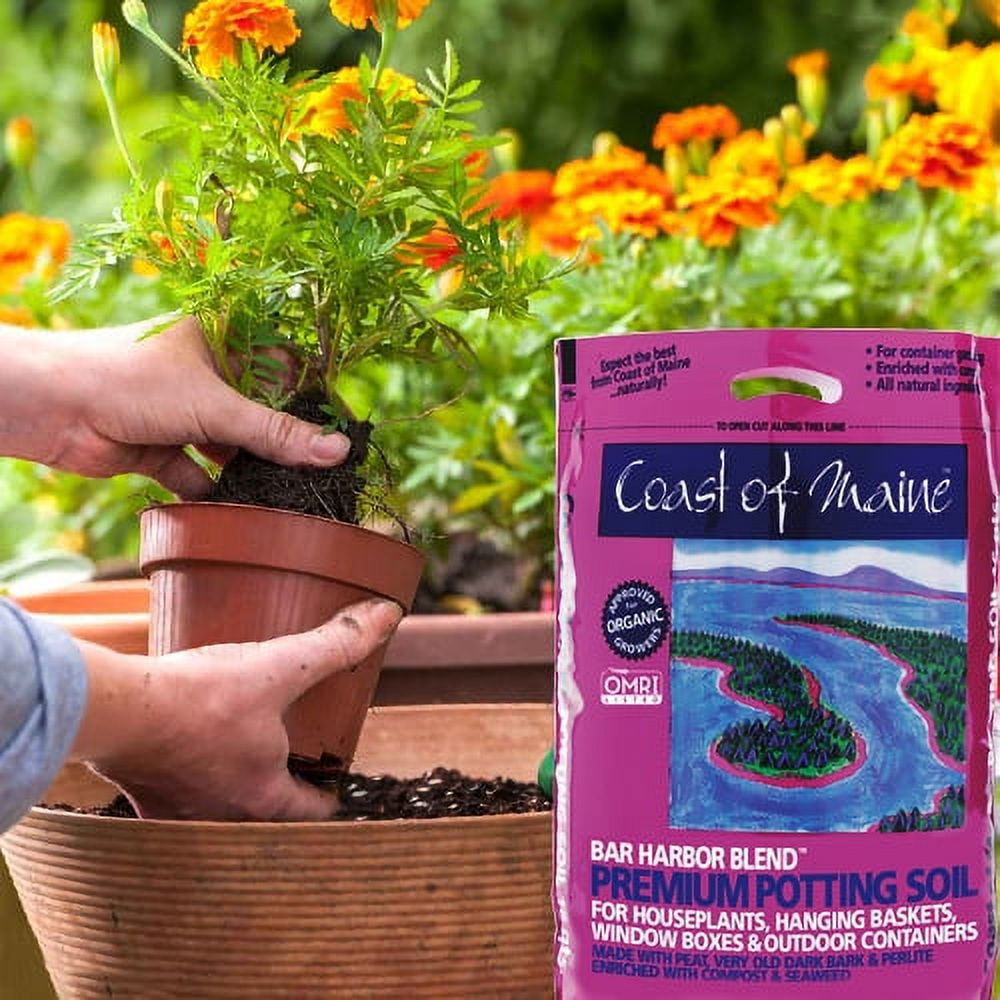 Coast of Maine (#BH1) Bar Harbor Blend, Organic Potting Soil, 1 cu ft