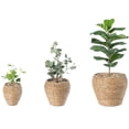 thumbnail image 1 of Vintiquewise QI003832.3 Panier Jardinière Rond Tissé avec Doublure en Plastique Étanche - Ensemble de 3, 1 of 6
