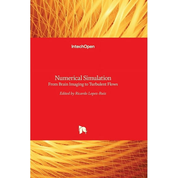 Numerical Simulation: From Brain Imaging to Turbulent Flows (Hardcover)