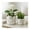 White, variant on Decorative Home Decor Planters with Flower Pots - Perfect Style for Indoor Plants, Planters for Outdoor Plants, and Plant Pots - Elegant Pots for Plant Stand Decor Set of 2 - 6" White & Gold