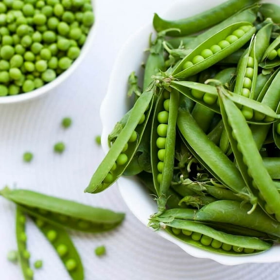 Pea Seed, Thomas Laxton, Heirloom, Non GMO, 200 Seeds, Perfect Peas