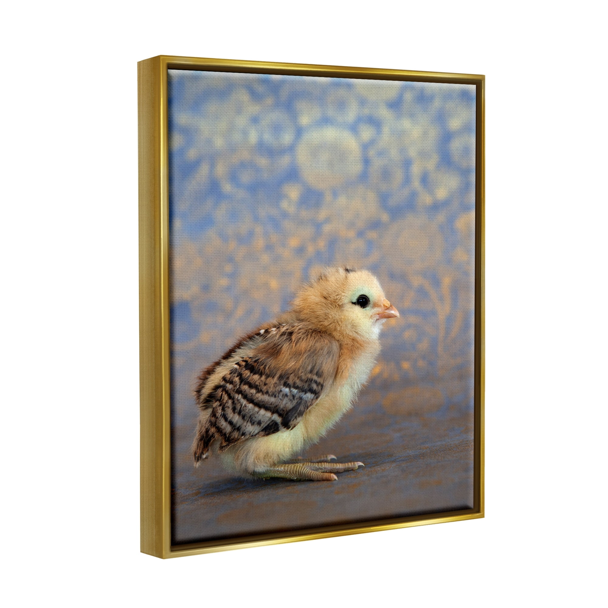Stupell Industries Tiny Baby Bird Chick Patterned Botanical Backdrop Photograph Metallic Gold Floating Framed Canvas Print Wall Art, Design by Tania Soderman