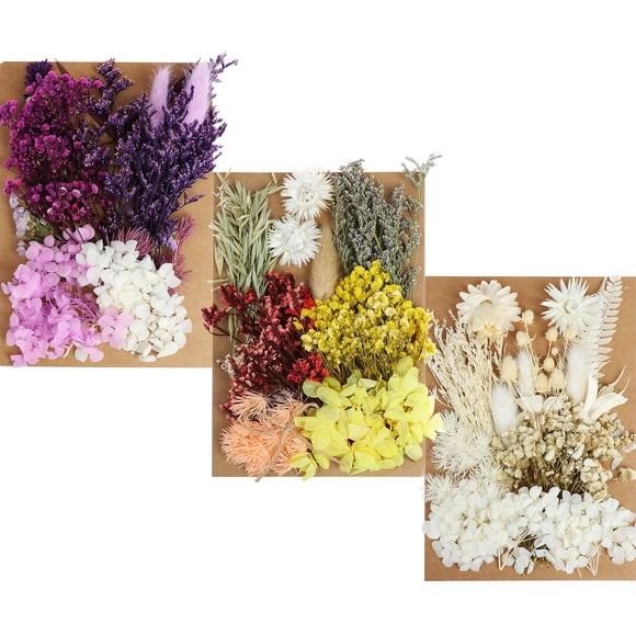 131 Pcs Fleurs Séchées DIY Marguerites Feuilles, Hortensias, Multiples Fleurs Naturelles Pressées Colorées Décoratives pour Artisanat DIY (Couleur 1)
