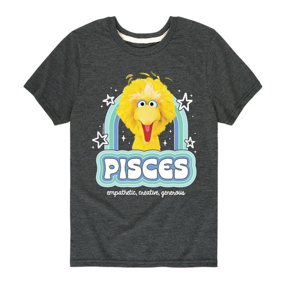 Sesame Street - Pisces Big Bird - Toddler and Youth Short Sleeve Graphic T-Shirt