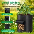 thumbnail image 3 of 6 Pack 10 Gallon Potato Grow Bags with Window Vegetable Grow Bags, Garden Planting Bag with Durable Handle, Plant Pots for Tomato, Vegetable and Fruits, 3 of 7