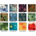 thumbnail image 2 of Crystalites Glaze Set 4 oz - 12 Jars, (S-2KIT2), 2 of 2