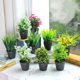 thumbnail image 1 of Gwong Decoración hogareña Flor artificial Planta Pot Bonsai Jardín Home Party Fiesta Decoración de muebles Gwong 21045567, 1 of 7