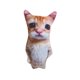 thumbnail image 1 of El Gato gato peluche lindo muñeco de peluche juguete para regalo estilo de dibujos animados muñeca de trapo para niños, 1 of 2