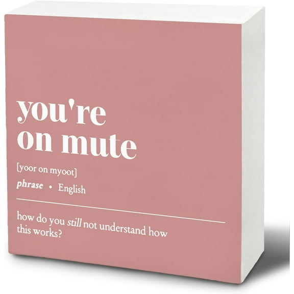Funny Office Signs - Office Desk Decor, Pink Office Decor, You'Re On Mute Wood Signs, Funny Office Decor, Desk Signs For Office, Office Shelf Decorations, 5x5 In