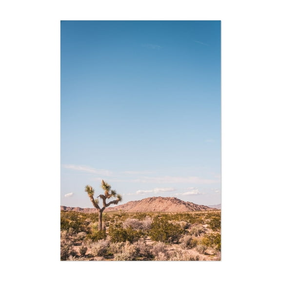 The Desert - Yucca Valley California Photography Unframed Wall Art Print 5 x 7 inches