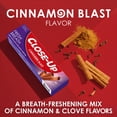 thumbnail image 6 of Close-Up Anticavity Toothpaste with Fluoride, Cinnamon Blast flavor, 8 oz, 6 of 12