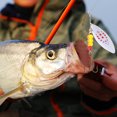 thumbnail image 4 of 5 señuelos de pesca Zhivalor cebos artificiales anzuelos de metal lentejuelas giratorias, 4 of 8