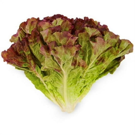 Fresh Red Leaf Lettuce, each