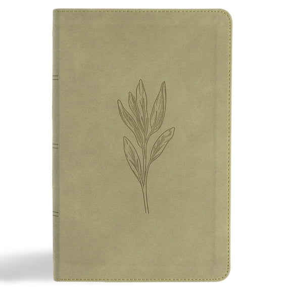 KJV Single-Column Personal Size Bible, Sage Suedesoft Leathertouch, (Hardcover)
