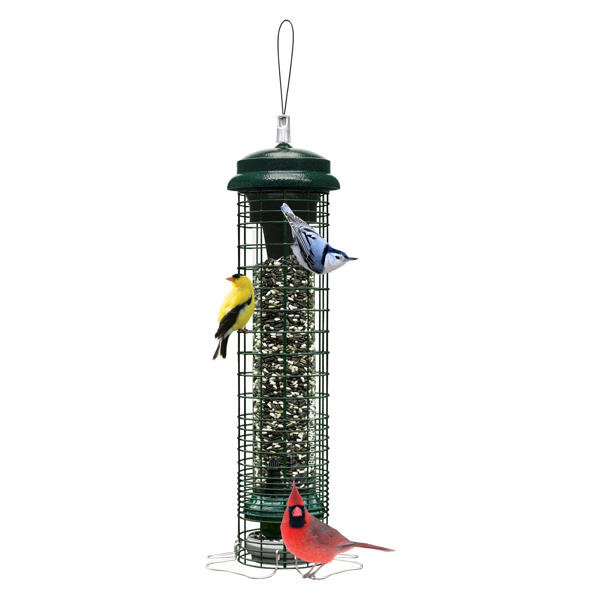 Brome Squirrel Solution150 Squirrel-Proof Bird Feeder, Green, 4 Perches, Free Seed Funnel, 2.6 lb Capacity