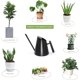 thumbnail image 4 of Copper Watering Can for Indoor Plants - 900ml Black, Small Stainless Steel Watering Can with Long Straight Spout, Metal Watering Can for Indoor Bonsai and Flower, 4 of 5