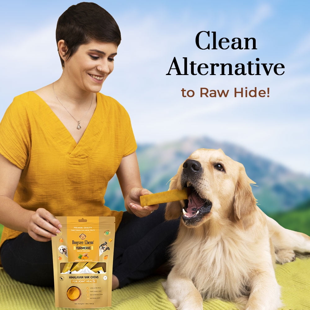 Dogsee Chew Himalayan Yak Chews Turmeric Long Lasting Dental Dog Treats Small 1 lb (13 Bars)