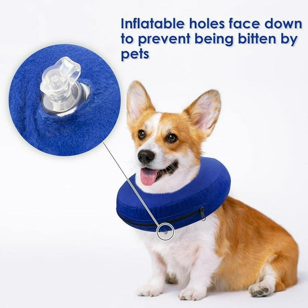Donut collar for dogs after surgery sales
