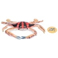 thumbnail image 3 of Crab Model Toy, Crab Model Figure Exquisite  For Children's Gifts PL127-1303, 3 of 8