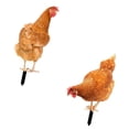 thumbnail image 2 of Estaca de Estatua de Animal Zulema 2 Piezas de Pollo Acrílico para Jardín, 2 of 8
