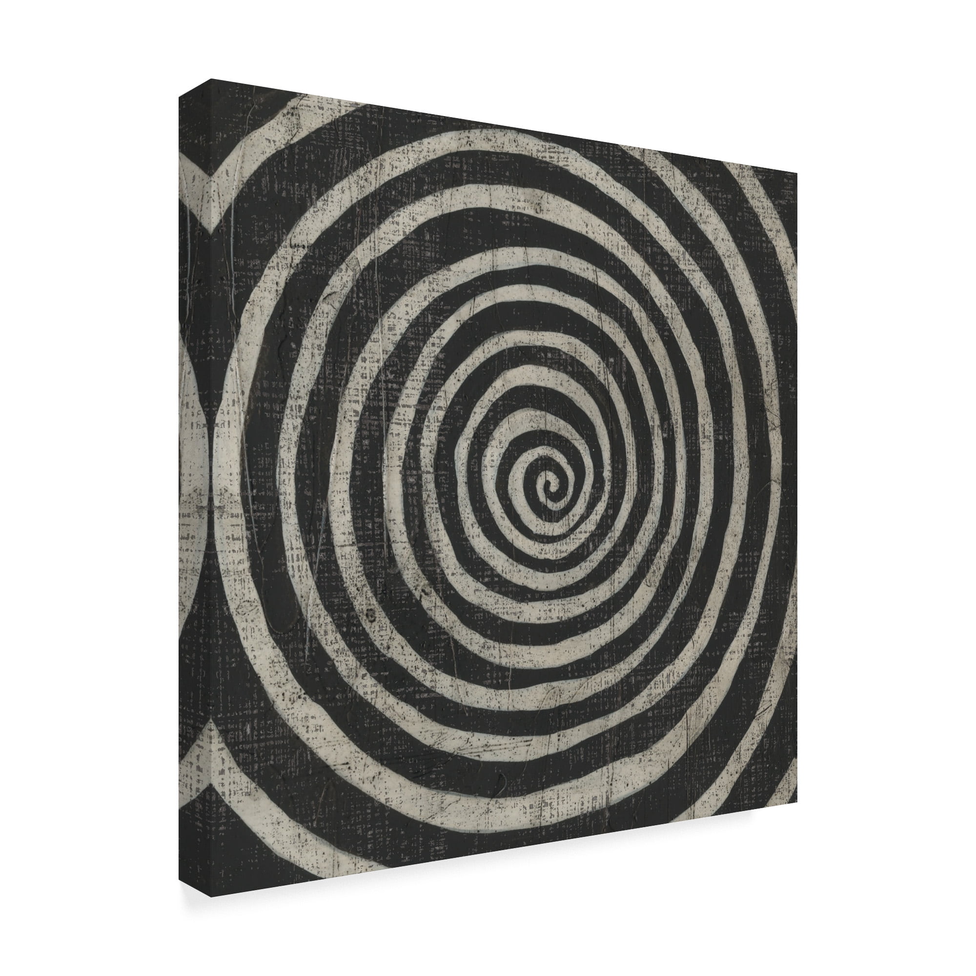 Trademark Fine Art 'Stone VIII' Canvas Art by Chariklia Zarris