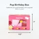 thumbnail image 3 of Set de Peluches para Perro ZippyPaws Cumpleaños con Sonido Chirriante 3 Piezas, 3 of 6