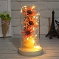 thumbnail image 3 of Flor de luz LED Botella decorativa Lámpara seca Preservada Mujeres Regalo Decoración Funciona con pilas Decoración romántica de la boda en casa Rosa Rojo Rosa Scienceny HA009077-03B, 3 of 6