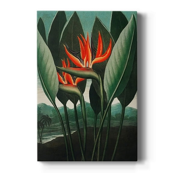 Temple of Flora IV Premium Gallery Wrapped Canvas - Ready to Hang