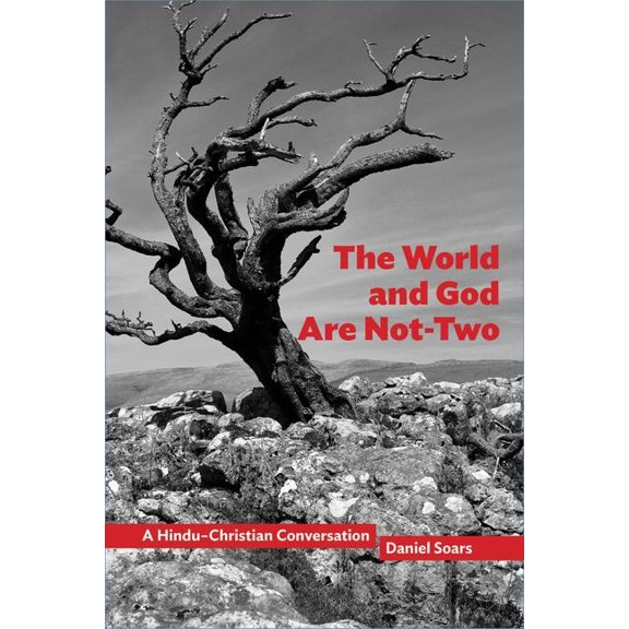 Comparative Theology: Thinking Across Tr The World and God Are Not-Two: A Hindu-Christian Conversation, Book 10, (Hardcover)