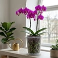 thumbnail image 1 of Clear Plastic Orchid Pots With Holes Saucers Transparent Breathable Flower Pots For Phalaenopsis Indoor, 1 of 6