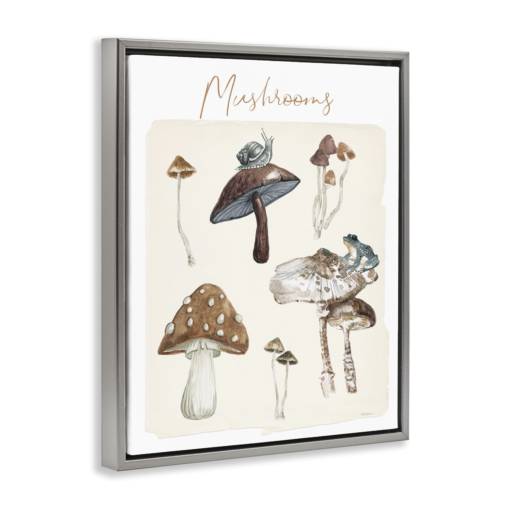 Stupell Industries Assorted Mushrooms Study Botanical & Floral Painting Gray Floater Framed Art Print Wall Art, 25 x 31